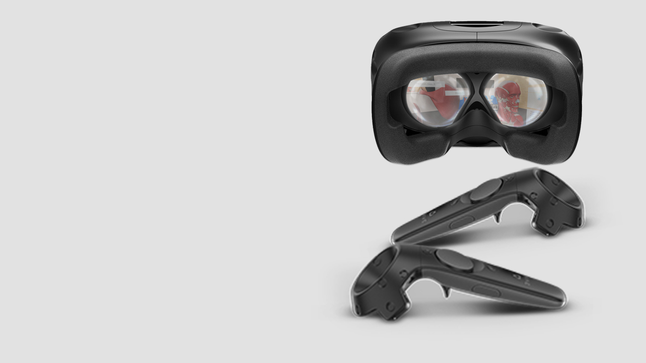 3d organon vr anatomy oculus quest