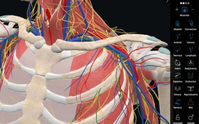 Dankook University Expands Innovation by building a 3D Organon VR Anatomy lab