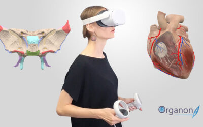 3D Organon achieves an epitome in medical education with the Oculus Quest 2 VR headset