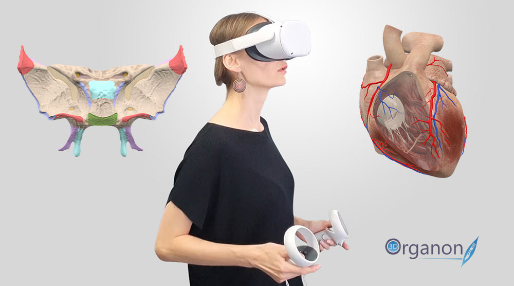 3D Organon achieves an epitome in medical education with the Oculus Quest 2 VR headset
