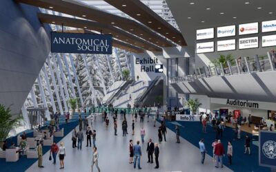 Anatomical Society Virtual Winter Meeting 2021