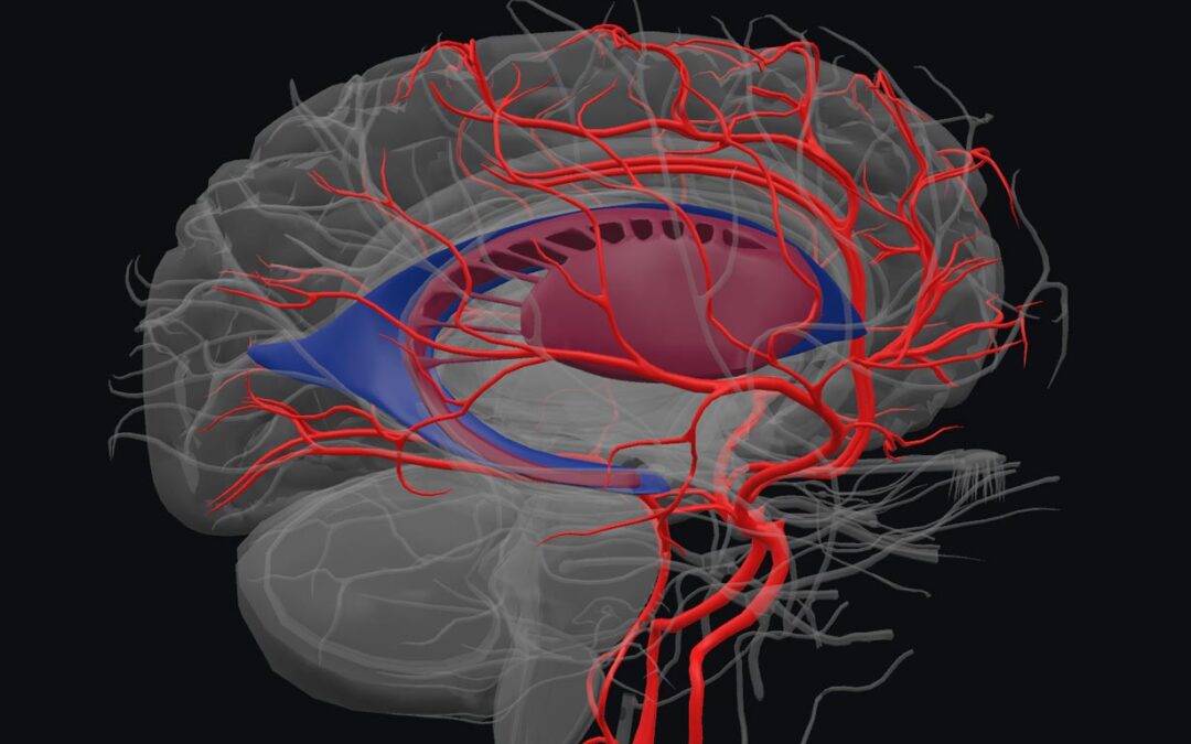 Feeding hungry brains!