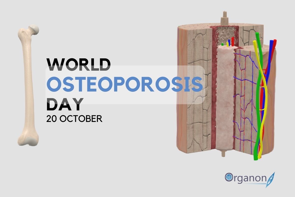 World Osteoporosis Day 2021 artwork