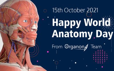 HAPPY WORLD ANATOMY DAY!