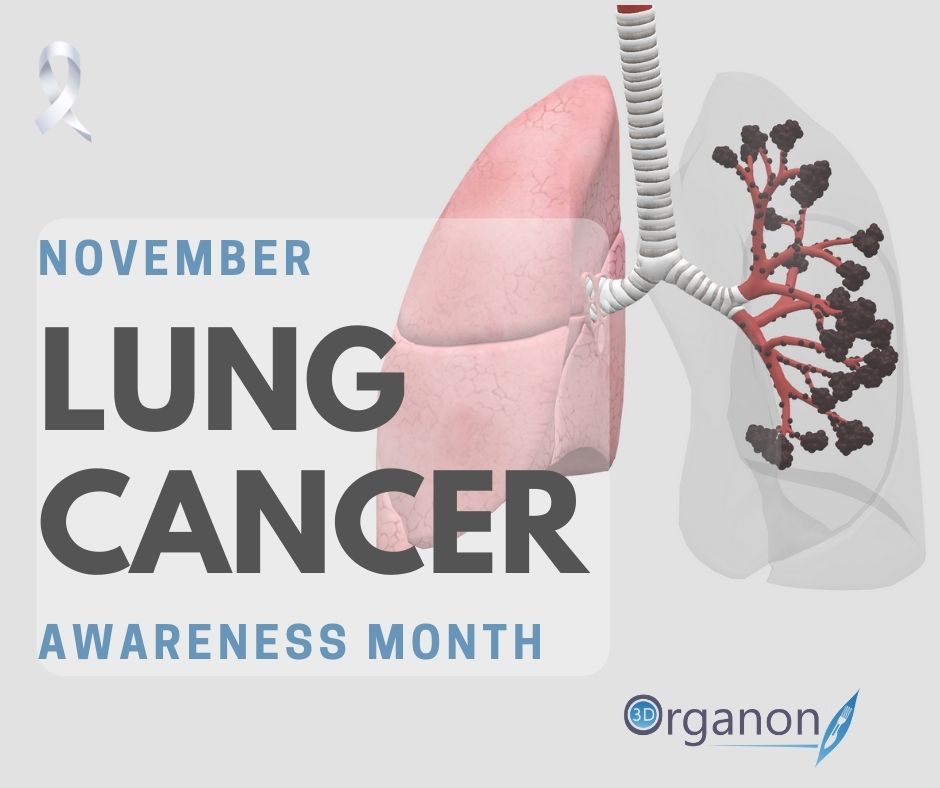 Keep Your Lungs Healthy 3d Organon