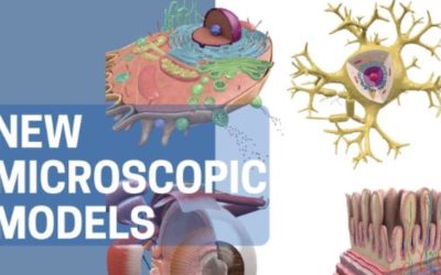 Discover now the new era in Microscopic Anatomy