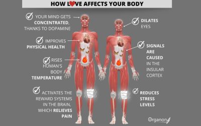 10 Ways Love Affects Your Brain and Body