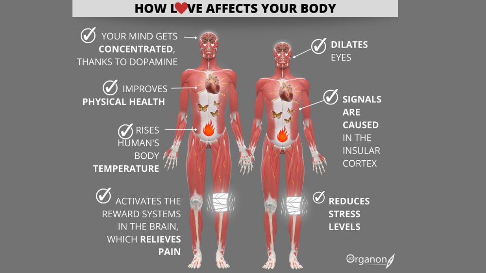 10 Ways Love Affects Your Brain and Body