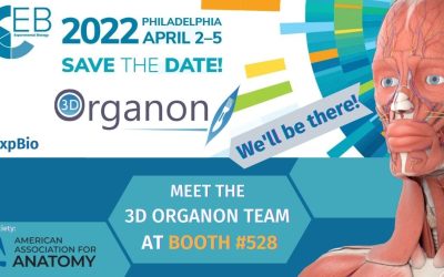 3D Organon at EB 2022