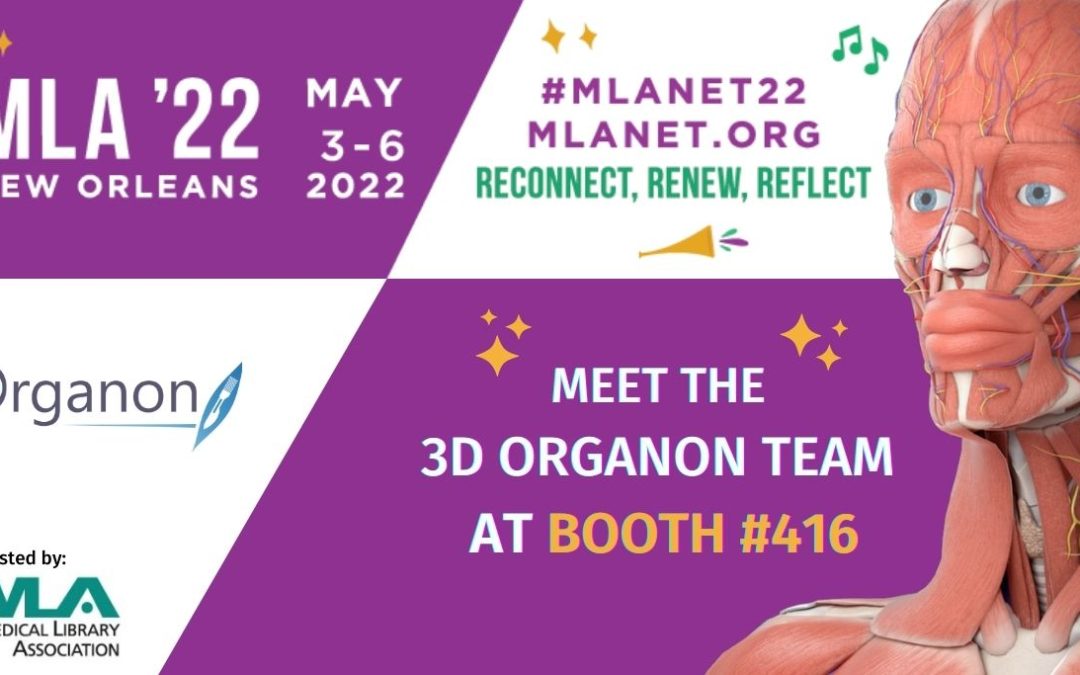 3D Organon at MLA’22