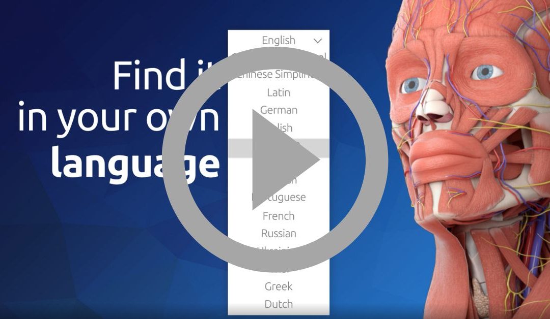3D Organon: Available in 16 languages!