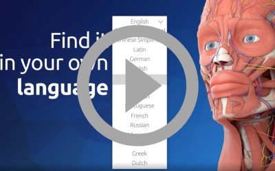 3D Organon: Available in 16 languages!