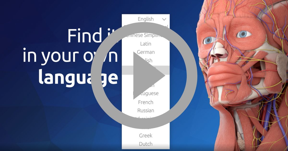 3D_Organon_16languages