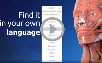 3D Organon: Available in 16 languages!