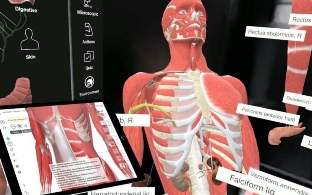 3D Organon at Keimyung College University