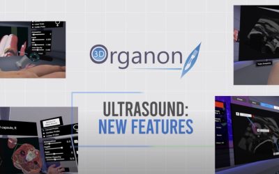 3D Organon Ultrasound VR Educational Simulator New Features