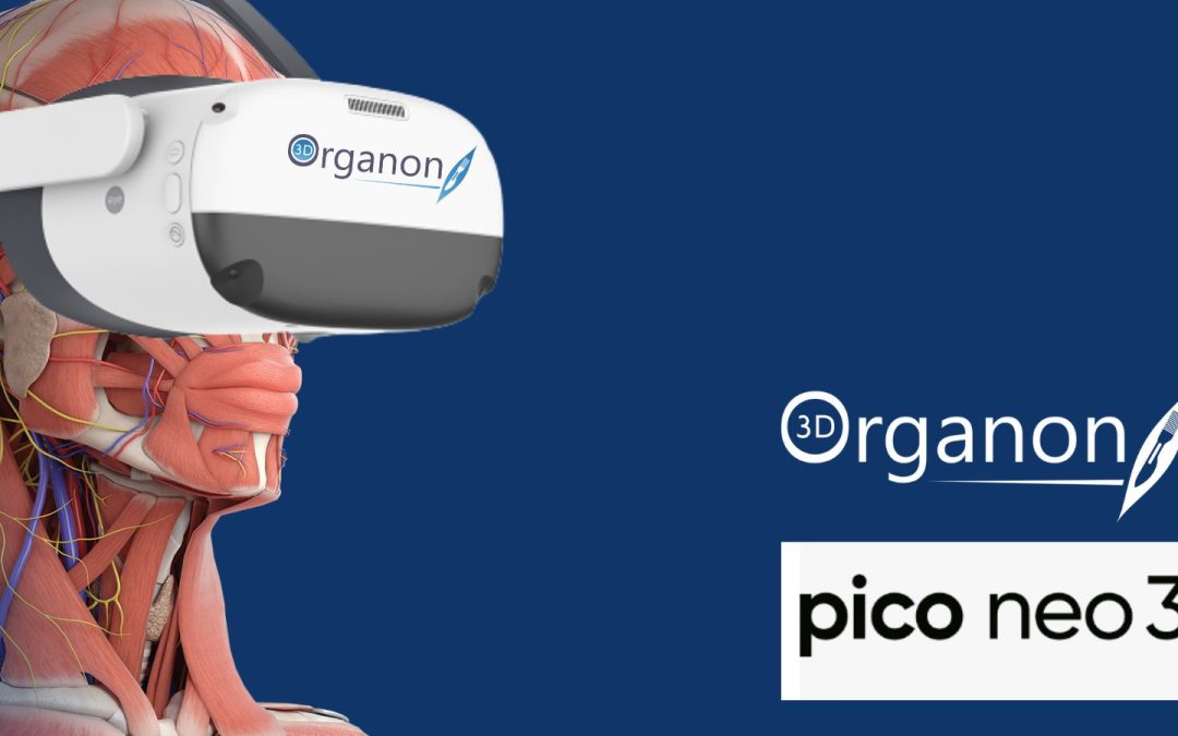 3D Organon on Pico Neo 3 PRO