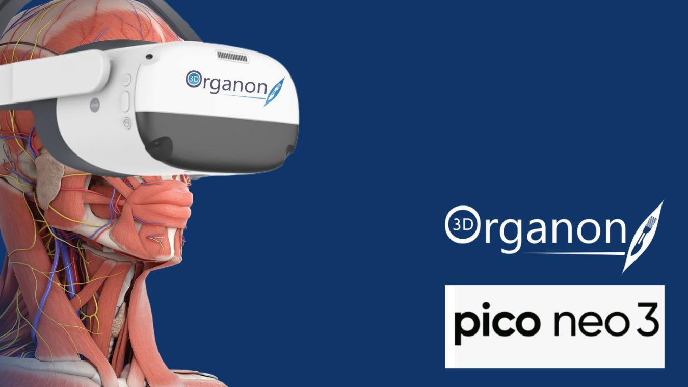 3D Organon on Pico Neo 3 PRO 3D Organon on Pico Neo 3 PRO