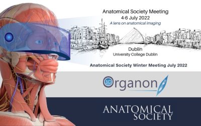 3D Organon at the Anatomical Society Winter Meeting!