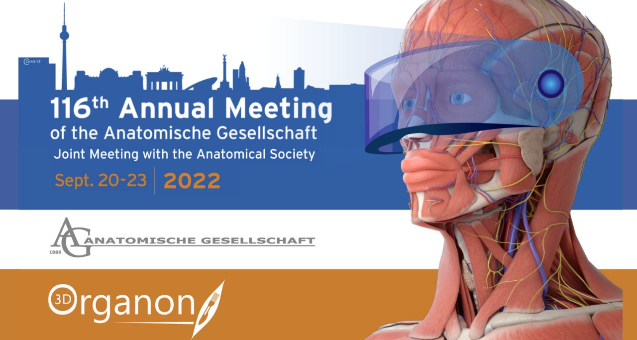 Annual_meeting 3D Organon at 116th Annual Meeting of the German Anatomical Society