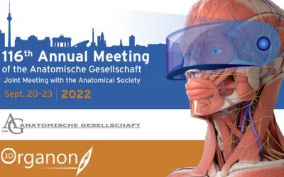 3D Organon at 116th Annual Meeting of the German Anatomical Society