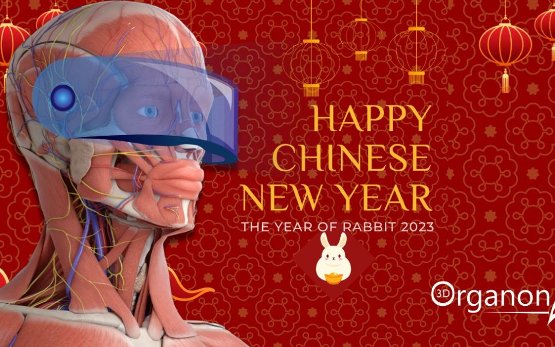 3D Organon wishes you Happy Chinese New Year! A vibrant design featuring Chinese lanterns and traditional decorations, symbolizing the joy and prosperity of the Lunar New Year celebration. Year! Celebrate the arrival of the Lunar New Year with joy and prosperity. Explore our cutting-edge solutions in virtual anatomy and medical technology, as we embrace the spirit of new beginnings. Start the year with innovation and knowledge, as we accompany you on your journey. Happy Chinese New Year from 3D Organon