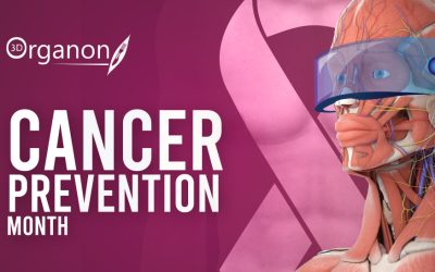 February: Cancer Prevention Month