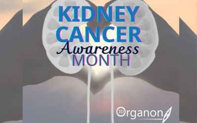 March: Kidney Cancer Awareness Month