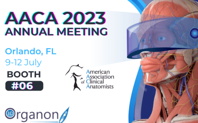 3D Organon at AACA 2023