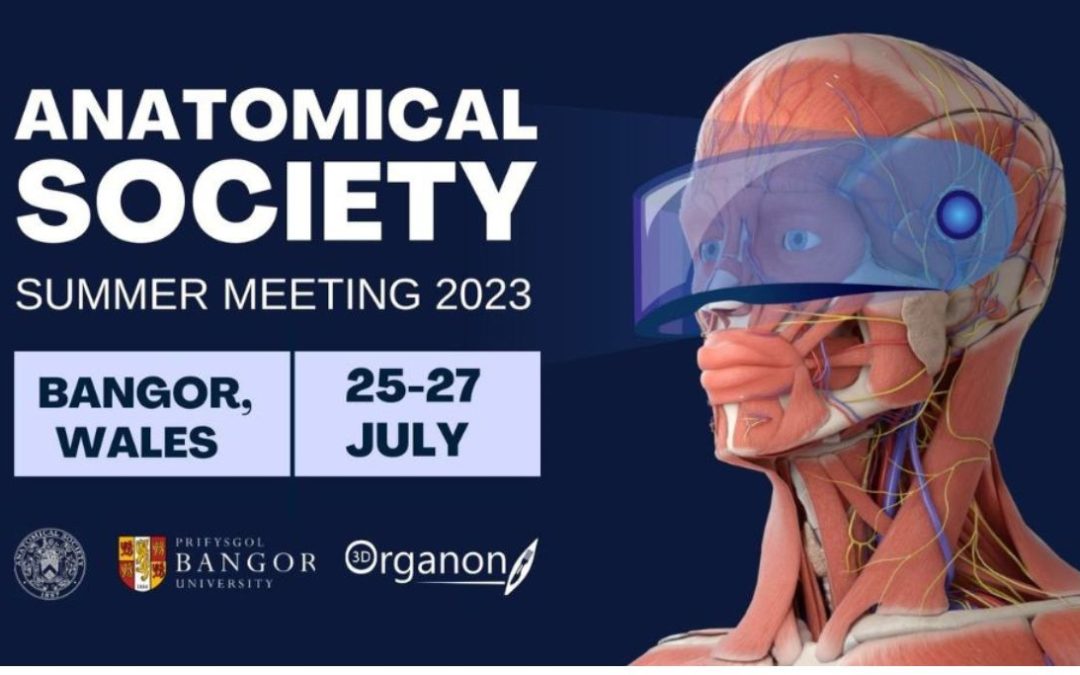 3D Organon at Anatomical Society Summer Meeting 2023