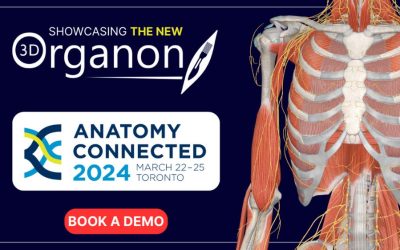 The NEW 3D Organon at Anatomy Connected 2024