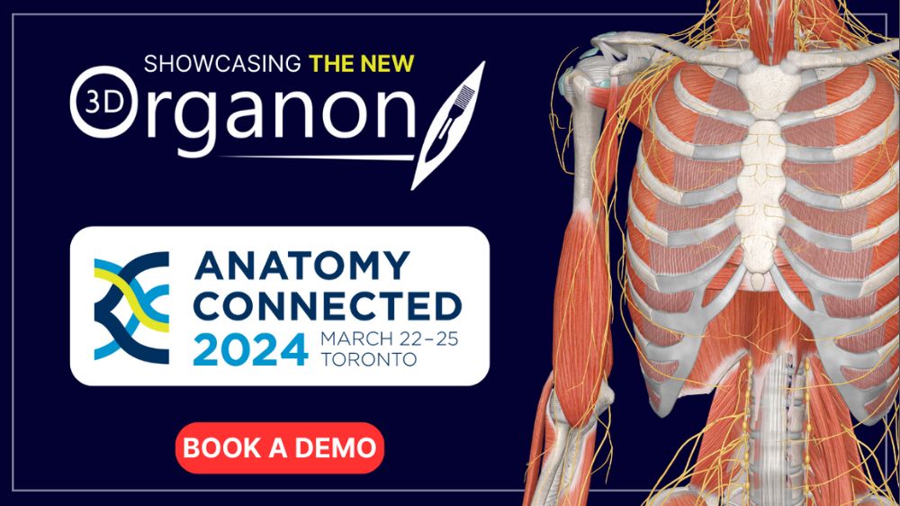 The NEW 3D Organon at Anatomy Connected 2024
