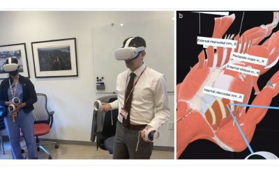Revolutionizing Medical Education and Practice: 3D Organon’s Role in Groundbreaking Research
