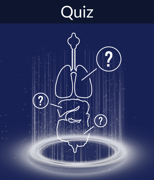 Quiz feature graphic from 3D Organon's software