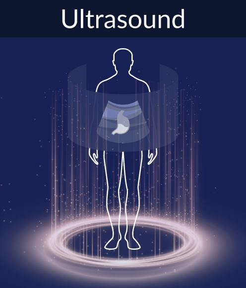 Ultrasound feature graphic from 3D Organon's software