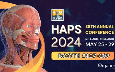 3D Organon at HAPS 2024