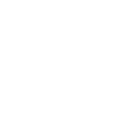 PICO VR logo