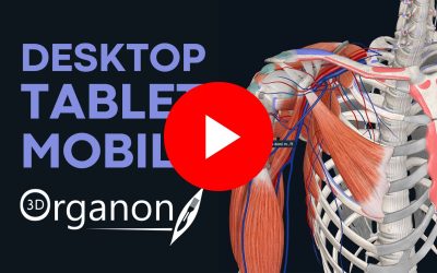 A sneak peek into 3D Organon’s immersive technology