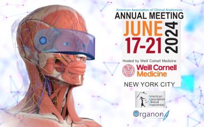 3D Organon at AACA 2024