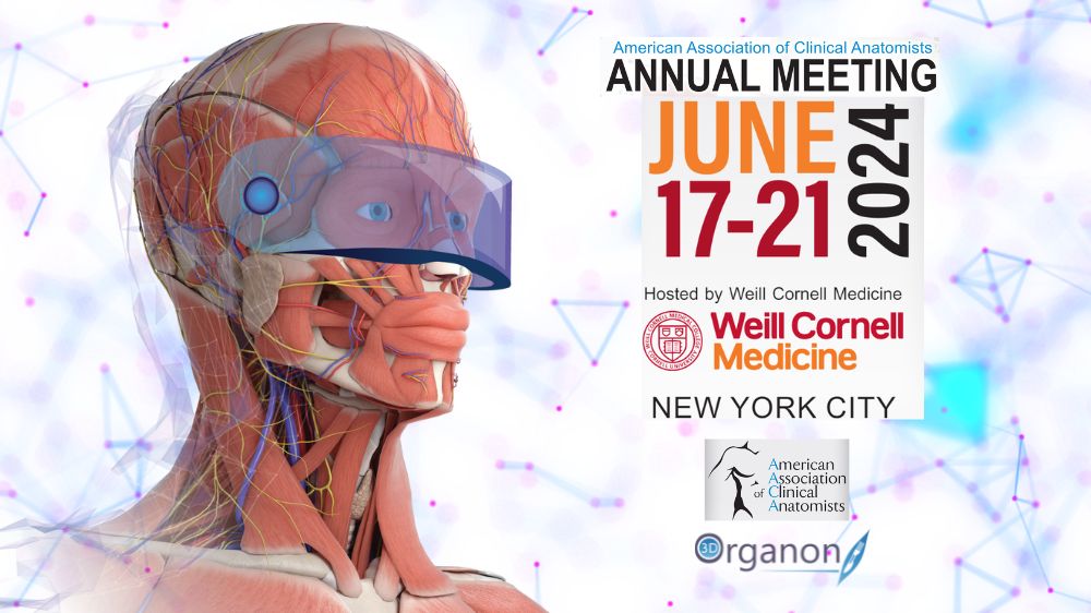 3D Organon at AACA 2024