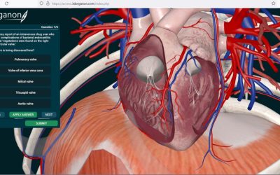 3D Organon for Web: Revolutionizing Medical Education with Interactive 3D Anatomy Learning