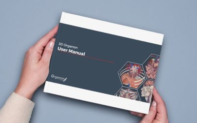 New Manuals Available – Enhance Your Skills with 3D Organon