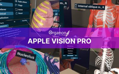 The Smoothest VR Anatomy Learning Experience