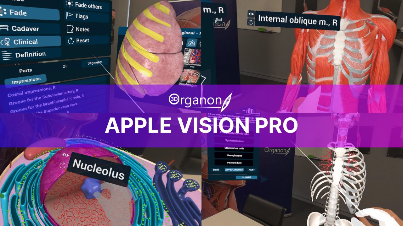 With 3D Organon and Apple Vision Pro, the next generation of medical professionals will be equipped with an unprecedented learning experience, one that fosters deep comprehension, hands-on engagement, and innovative problem-solving