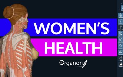 Women’s Health