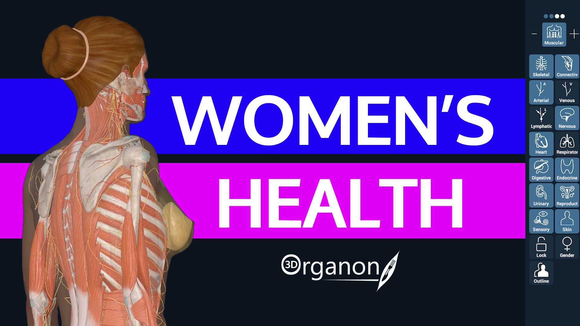 Women’s Health Women face unique health challenges shaped by both biological and social factors—from fluctuating hormone cycles and increased risks of osteoporosis to the dangers of pregnancy and childbirth.