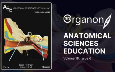 3D Organon Featured on the Cover of Anatomical Sciences Education (ASE)