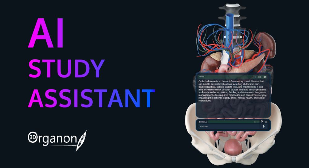 Revolutionizing Anatomy Learning with AI-Powered Assistance