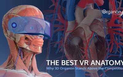The Best VR Anatomy Software