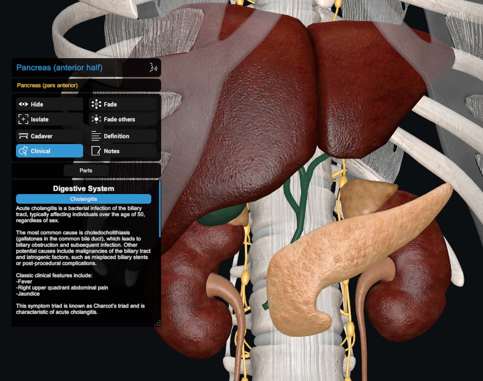 Clinical Correlations